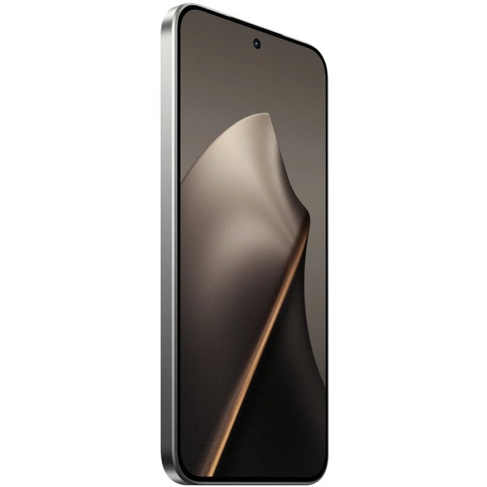 Xiaomi 15T 12GB 256GB Gris